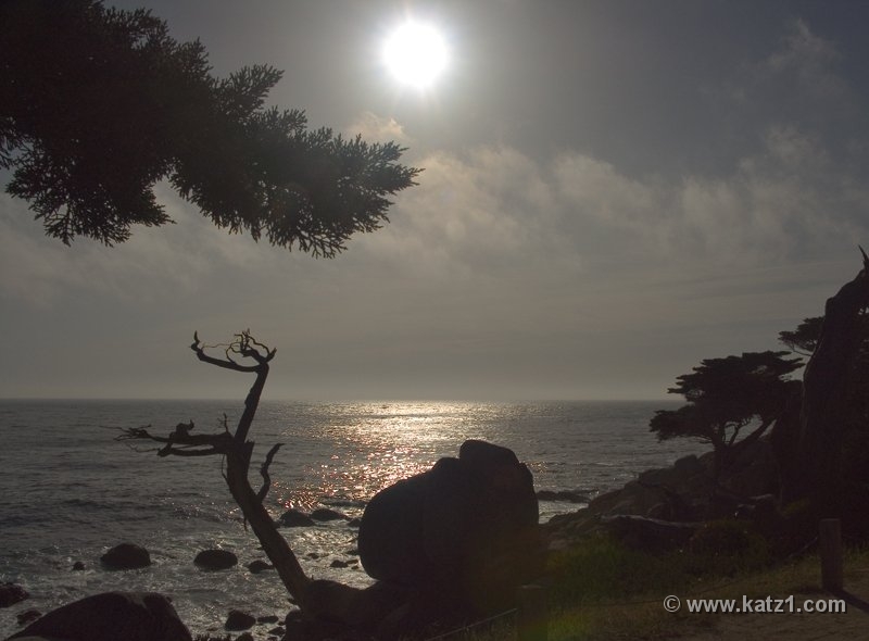 17 Mile Drive 5